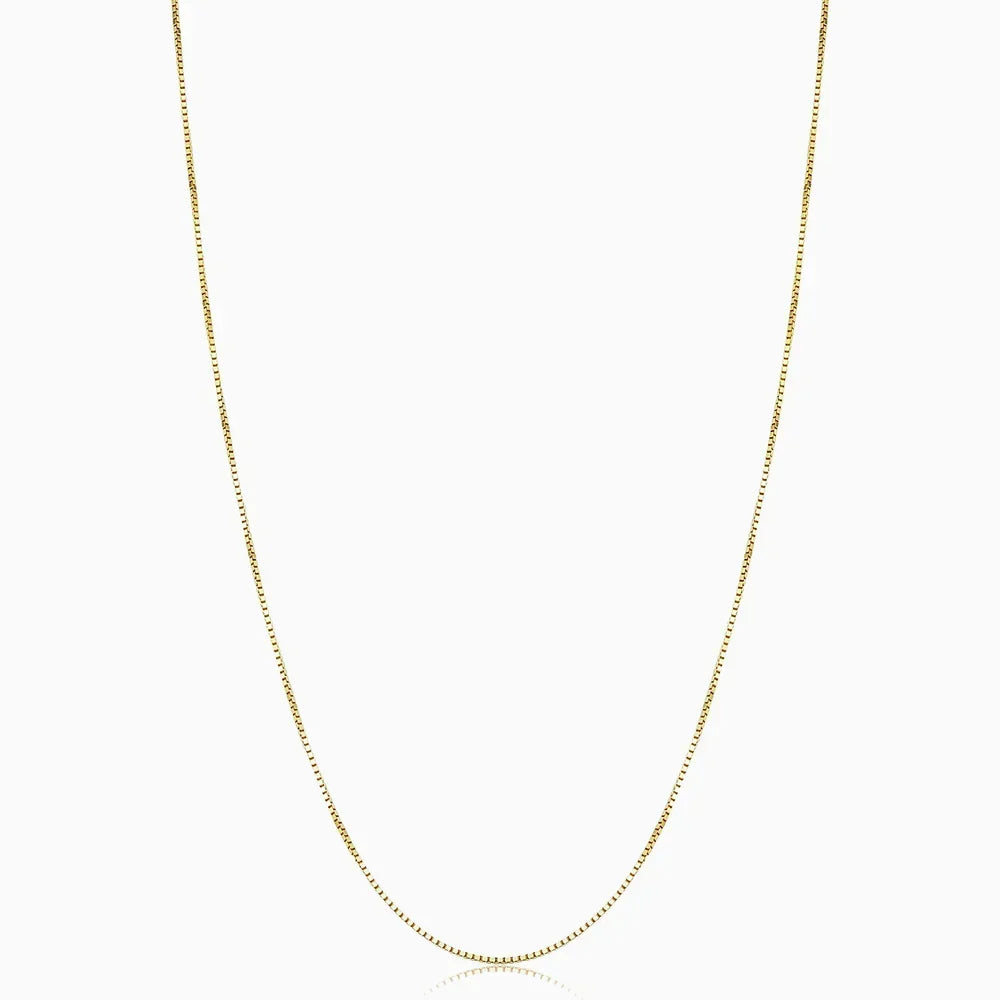 Collar Box Bodega
