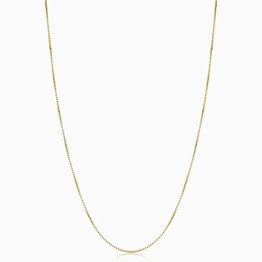 Collar Box Bodega